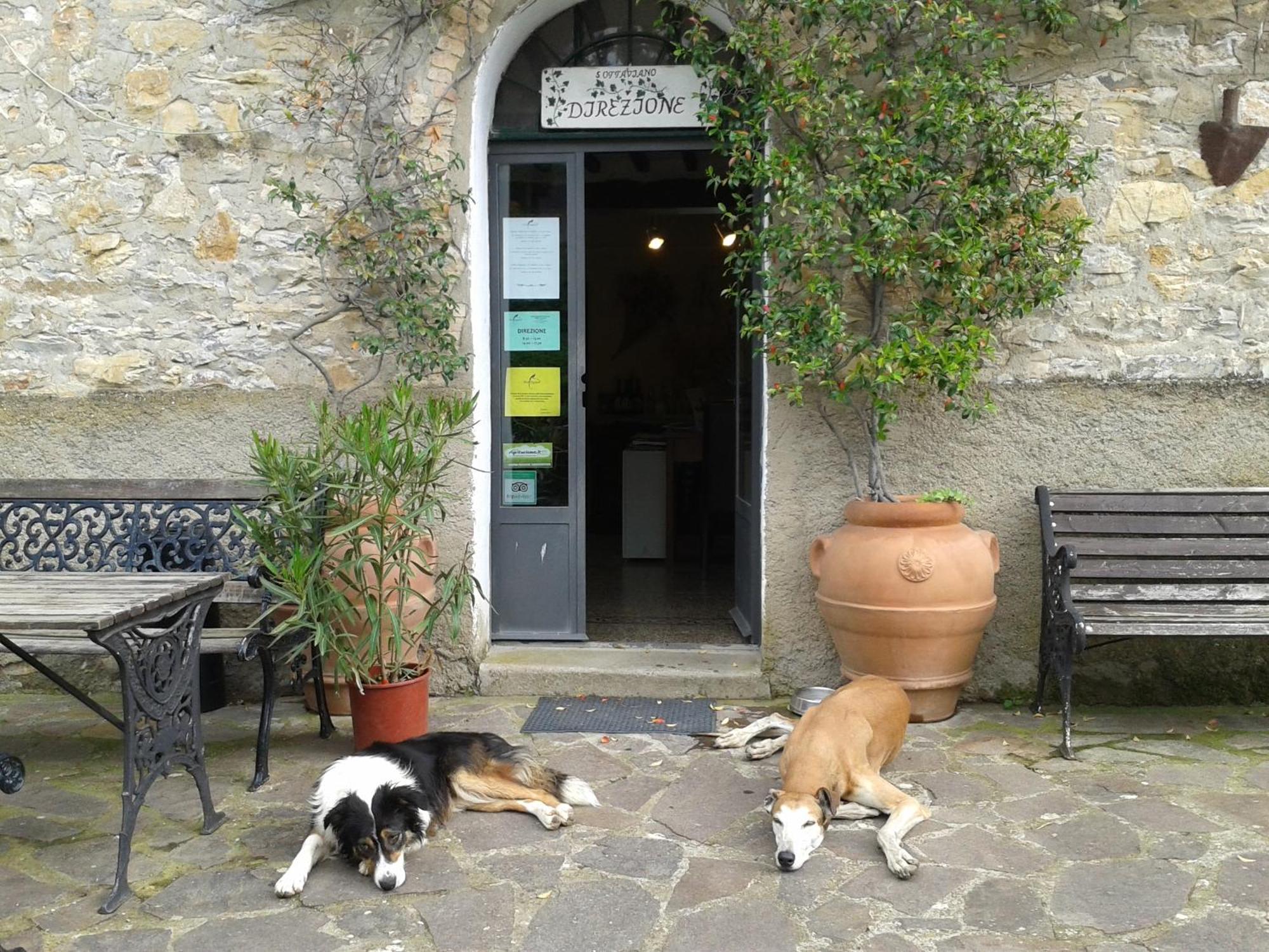 Agriturismo San Ottaviano Monterotondo  Екстер'єр фото